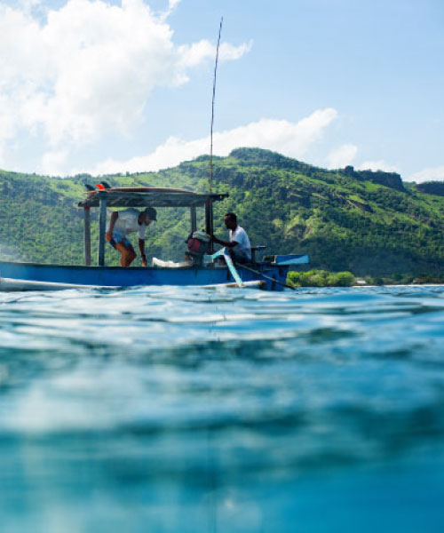 trolling-fishing-lembongan-500x600